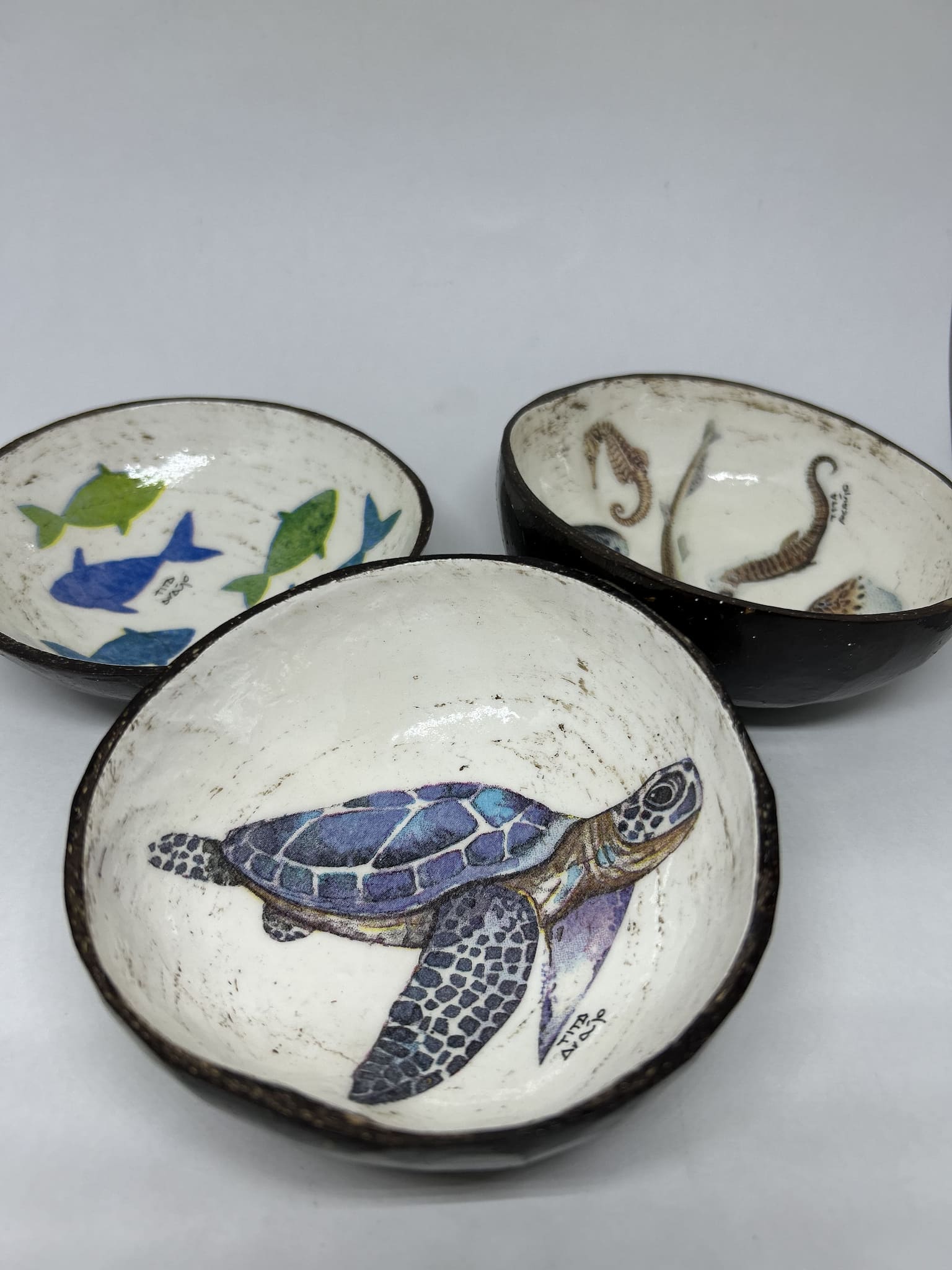 BOWL DE COCO