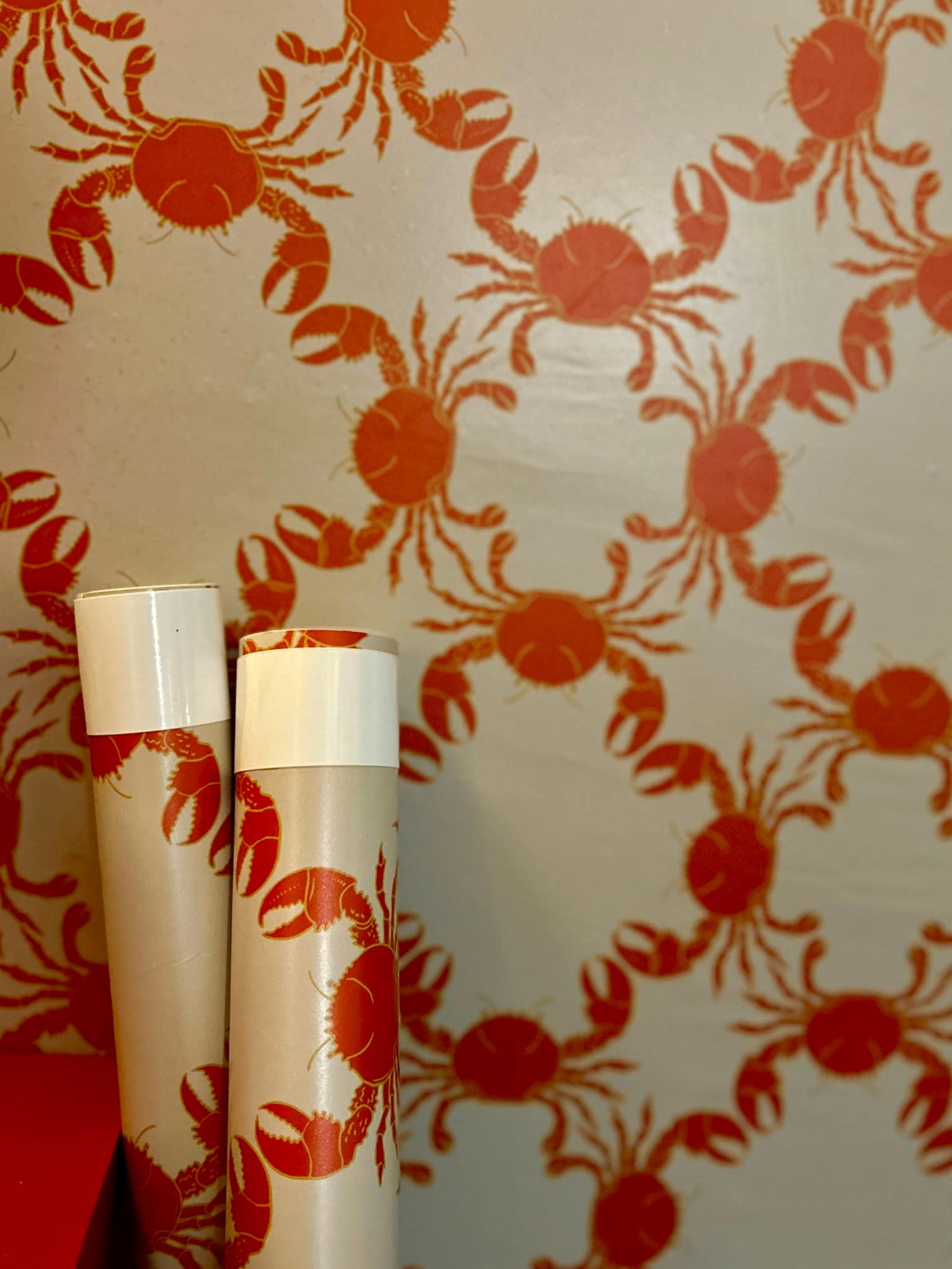 PAPEL DE PAREDE CARANGUEIJO