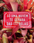 PLACA DECORATIVA FRASES | VERMELHA